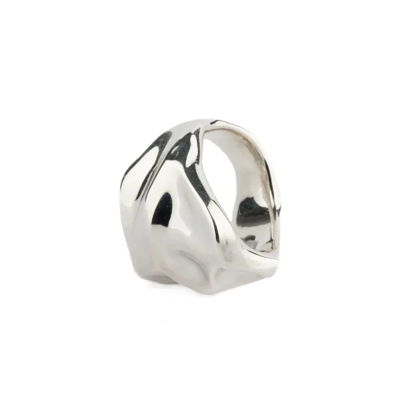 Dropped Gold Ring - Ze Garcia x Elena Estaun - Imagen 4